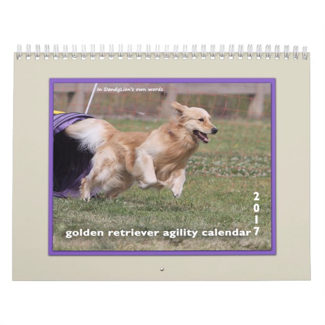 Calendário Agilidade 2017 do golden retriever (Capa)