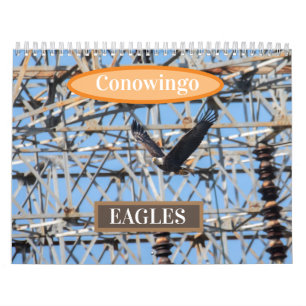 Calendário Águia de Conowingo