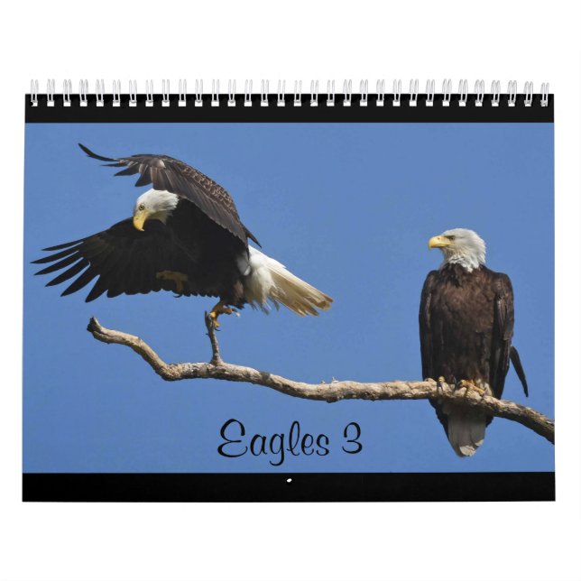 Calendário Águias 3 (Capa)