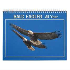 Calendário Águias Baldas Todo o Ano