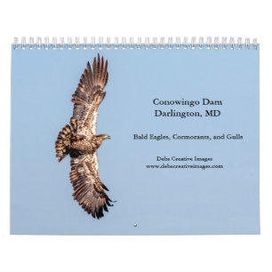 Calendário Águias-Carecas do Conowingo Dam 2027 Vida Selvag