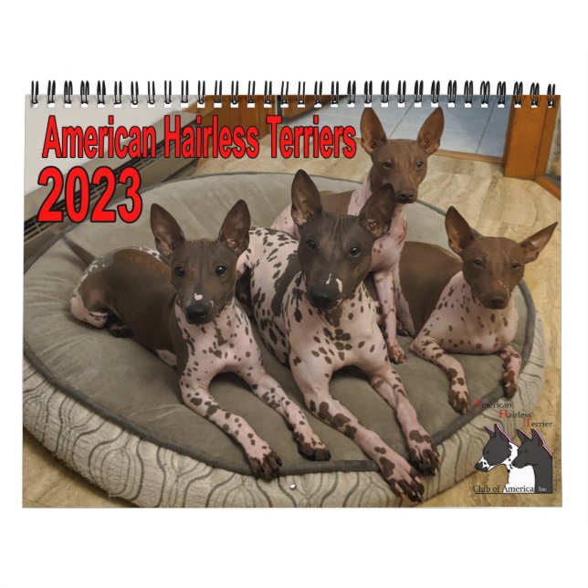 Calendário AHTCA 2023 American Hairless Terrier (Capa)