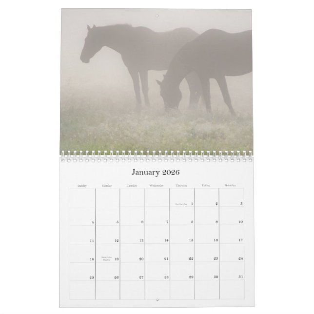 Calendário Ainda vagueando 2013 (Jan 2026)