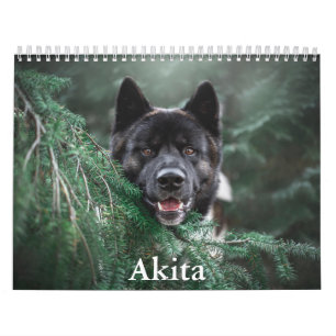 Calendário Akita Calendar