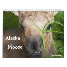 Calendário Alces de Alaska