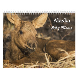 Calendário Alces do bebê