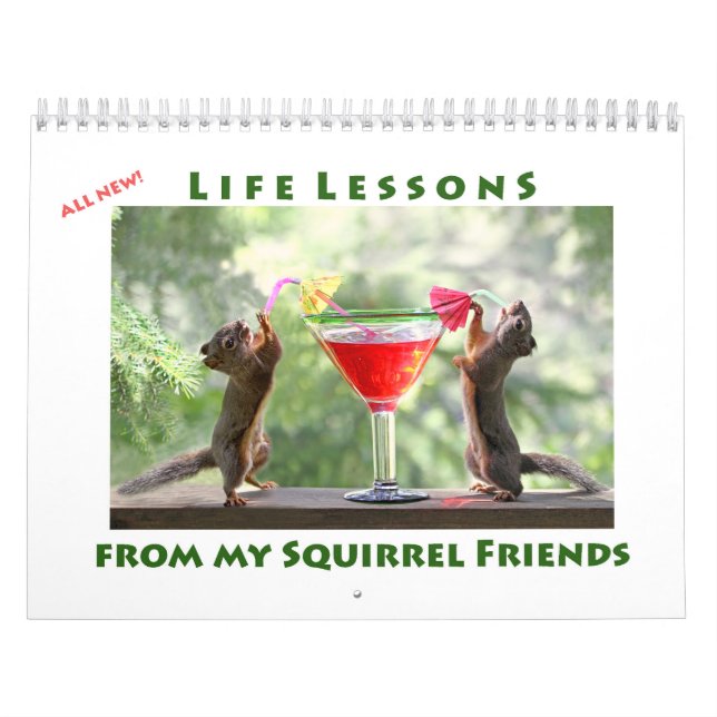 Calendário All Star Squirrel Calendar - New Life Lessons (Capa)