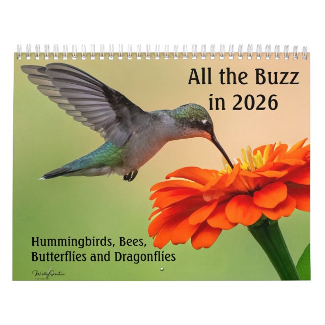 Calendário All the Buzz 2026 Calendar (Capa)