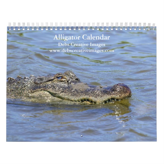 Calendário Alligadores na natureza 2026 (Capa)
