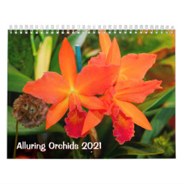 Calendário Alluring Orchids 2021