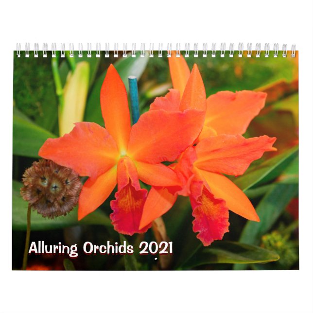 Calendário Alluring Orchids 2021 (Capa)