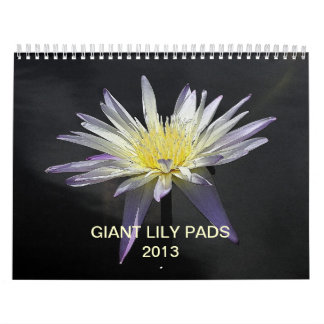 Calendário Almofadas de lírio gigantes 2013