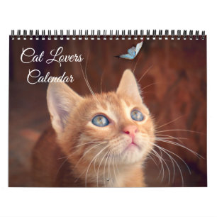 Calendário Amantes de Gatos