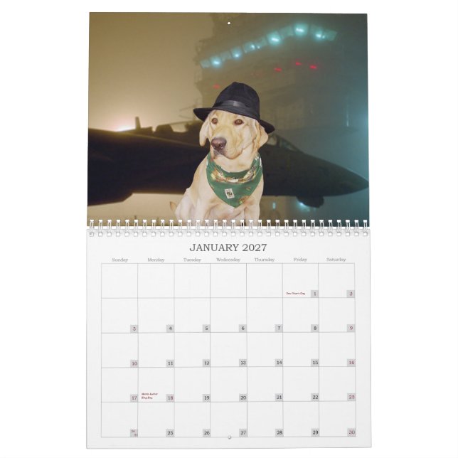 Calendário amarelo do laboratório - 2013 (Jan 2027)