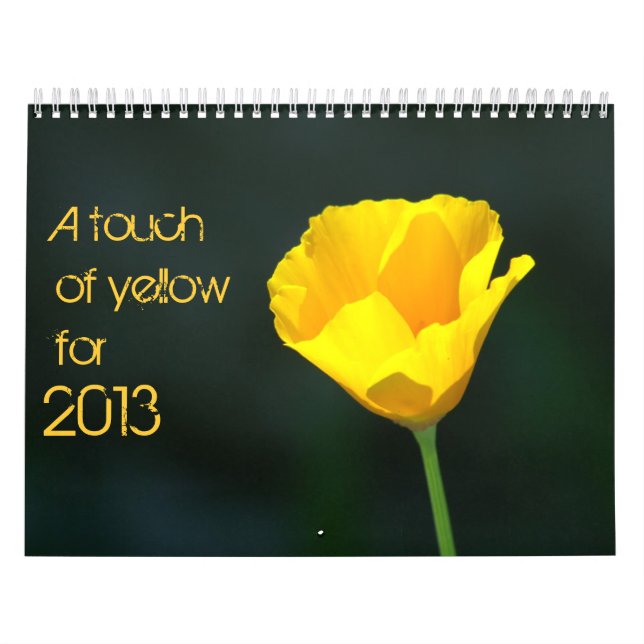 calendário amarelo para 2013 (Capa)