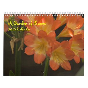 Calendário Amaryllis alaranjado