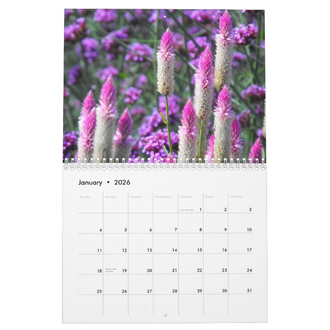 Calendário Amaryllis alaranjado (Jan 2026)