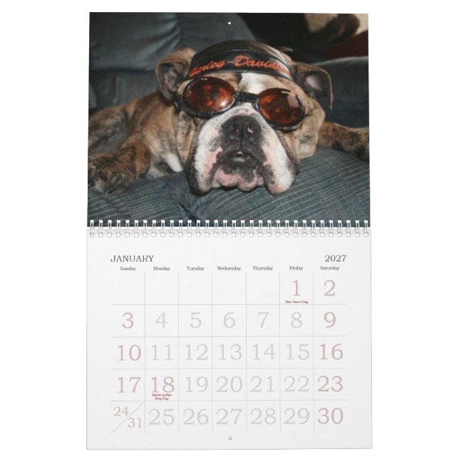 Calendário Ame esse buldogue Calander (Jan 2027)