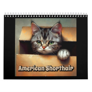 Calendário American Shorthair Cat