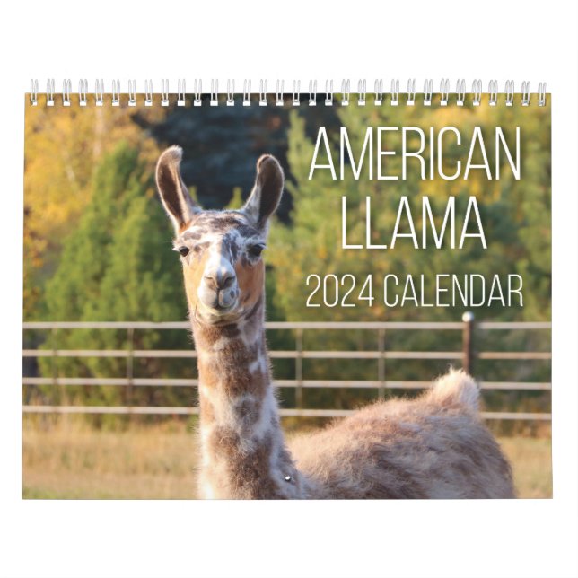 Calendário Americano Llama 2024 (Capa)