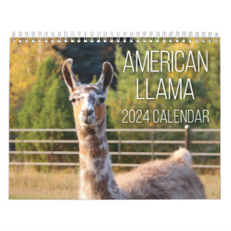Calendário Americano Llama 2024