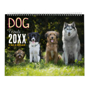 Calendário Amigos Cachorros 2027 Animais Parede