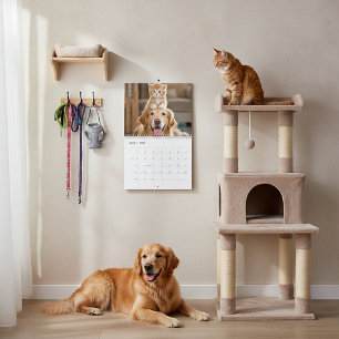 Calendário Amigos peludos