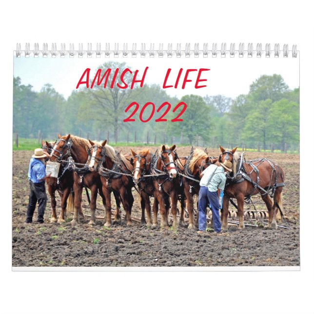CALENDÁRIO AMISH LIFE 2022      (Capa)