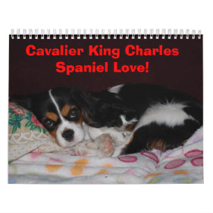 Calendário Amor descuidado do Spaniel de rei Charles! -