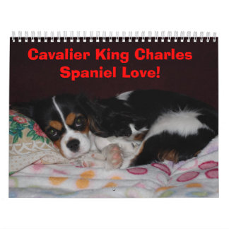 Calendário Amor descuidado do Spaniel de rei Charles! -