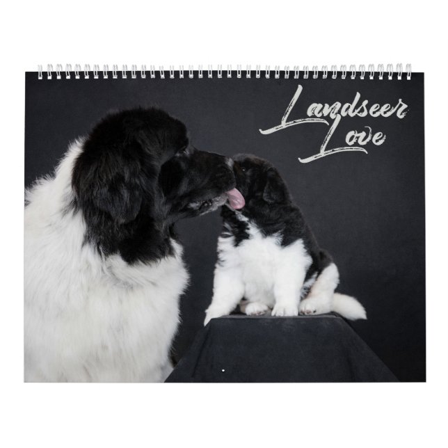 Calendário Amor Landseer (Capa)