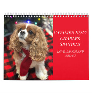 Calendário Amor, Ria E Relaxe Rei Cavaleiro Charles Spaniels