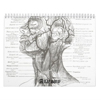 Calendário Anatomia de OldSchool