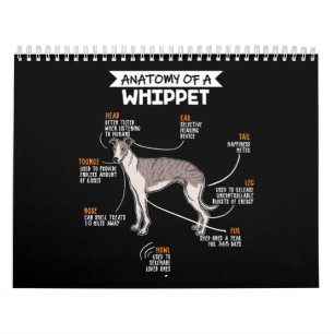 Calendário anatomia de um presente engraçado de cachorro bra