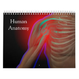 Calendário Anatomia humana