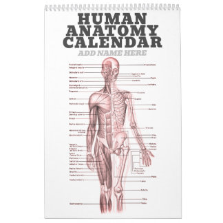 Calendário Anatomia humana Diagrama médico Ciência da Novidad