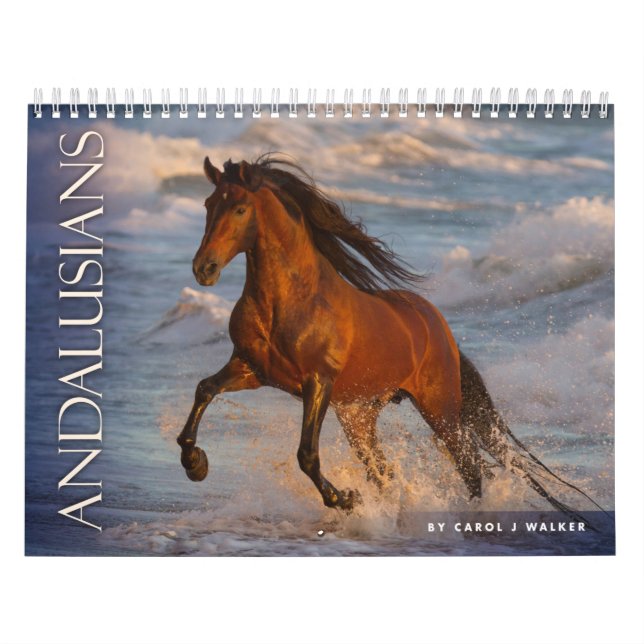 Calendário Andaluzes por Carol J Walker Horse Calendar (Capa)