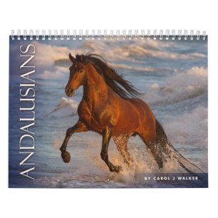 Calendário Andaluzes por Carol J Walker Horse Calendar