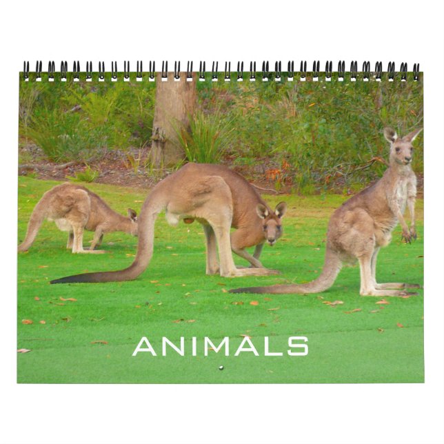 Calendário animais 2026 (Capa)