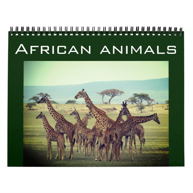 Calendário animais africanos 2025 (Capa)