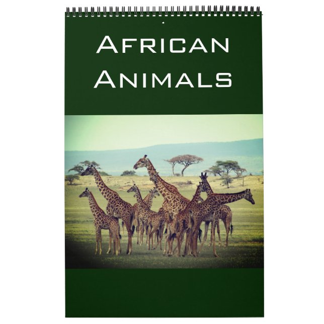 Calendário animais africanos 2025 (Capa)