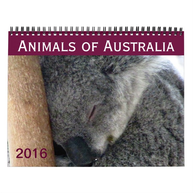 Calendário animais australianos 2016 (Capa)