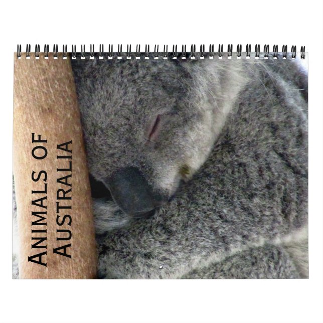Calendário animais australianos 2026 (Capa)