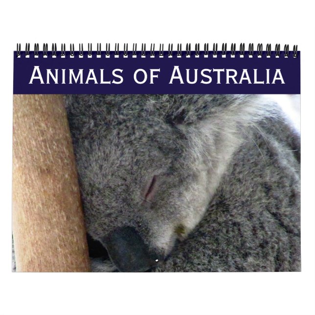 Calendário animais australianos 2027 (Capa)