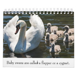 Calendário Animais bebês
