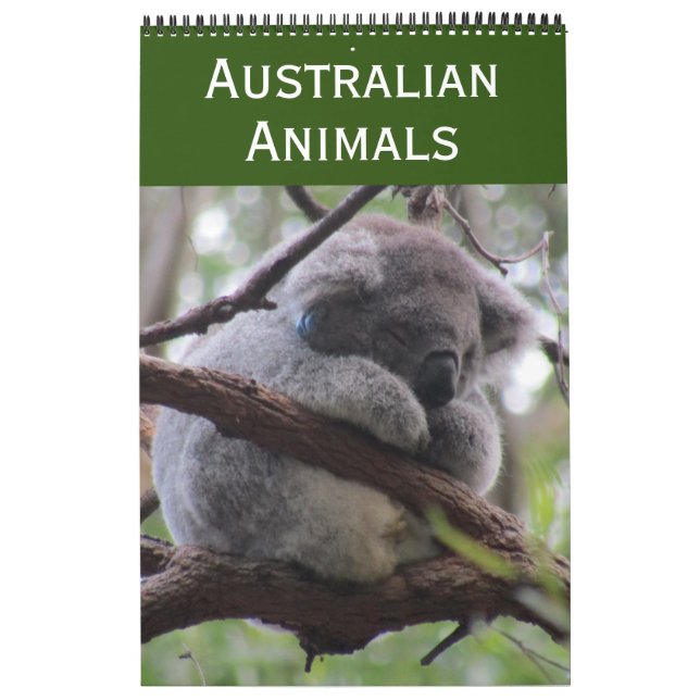 Calendário animais da austrália 2027 (Capa)