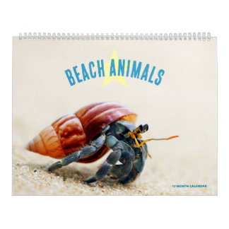 Calendário Animais da Praia