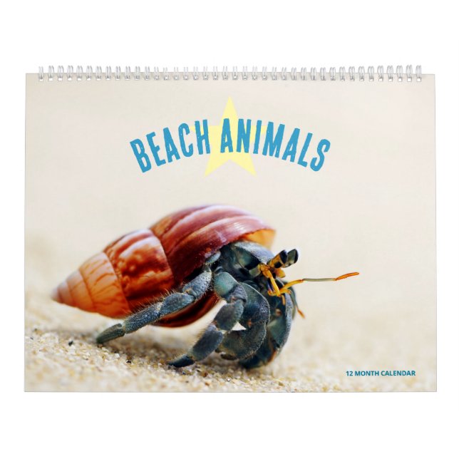 Calendário Animais da Praia (Capa)
