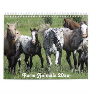 Calendário Animais de criação da América Rural