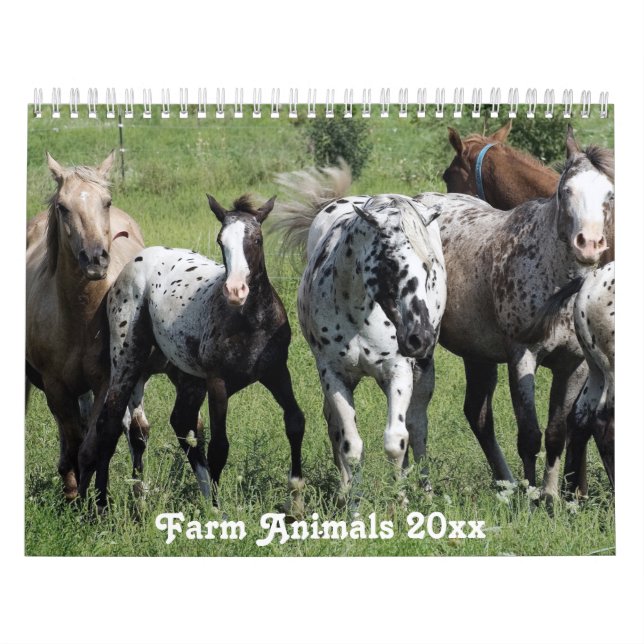 Calendário Animais de criação da América Rural (Capa)